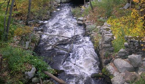 view of the stream